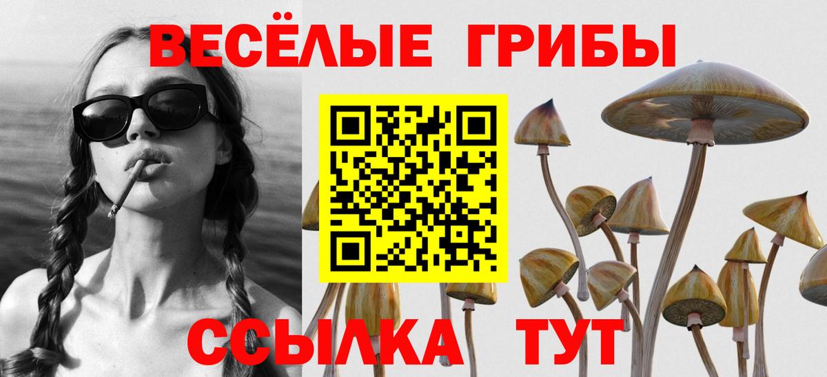 Галлюциногенные грибы MAGIC MUSHROOMS Жуковский